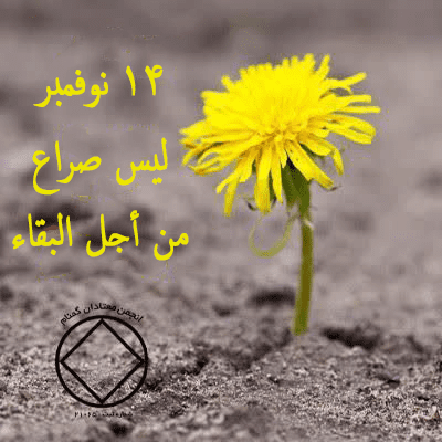 ليس صراع من أجل البقاء